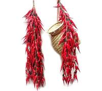 5pack Simulation Artificial Lifelike Fake Vegetable Artificial Garlic Red Chili Pepper Fake Vegetables Hanging Rope Home Kitchen Party Wall Decor Photography Props (Chili)