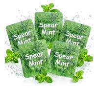 5Pack Spearmint Aroma Refill Filters - Anxiety Relief Breathing Necklace Inserts with Resistance - Spearmint Scent Refills for Aroma Necklace, Men Women Adults, Gifts for Family （15 Sticks）