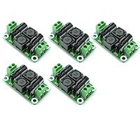 5pcs 0-50V 4A DC Power Supply Filter Board Class D EMI Suppression Amplifier for Auto Car