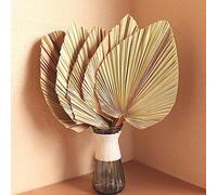 5Pcs 18" Large Natural Trimmed Palm Spear Leaves Fans for Boho Wedding Decor, Hawaiian Luau Party, Holidays Kitchen Table, Dried Flowers Pampas Grass Decoration
