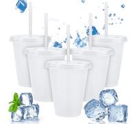 5Pcs 500ml Iced Water Cups with Lids & Straws - Cold Drinking Tumblers, Plastic Tumbler Set, Reusable & BPA Free Plastic Cup, Slushie Cup Coffee Smoothie Slushy Drinking Cup, Party Cups for Kid Adults