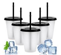 5Pcs 500ml Iced Water Cups with Lids & Straws - Cold Drinking Tumblers, Plastic Tumbler Set, Reusable & BPA Free Plastic Cup, Slushie Cup Coffee Smoothie Slushy Drinking Cup, Party Cups for Kid Adults