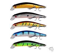 5Pcs Artificial Bionic Sea Fishing Lures, Portable Fishing Lures for Saltwater Freshwater, with Lifelike Swimming Action for Bass, Trout, Salmon & More