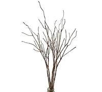 5PCS Artificial Lifelike Curly Willow Branches Decorative Dried Twigs, 25.9 Inches Fake Bendable Sticks Plastic Vines/Stems for DIY Greenery Plants Vases Home Office Party Decoration