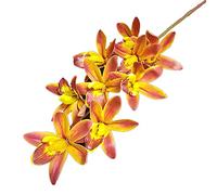 5pcs Artificial Real Touch Cymbidium Orchid Flowers 9 Heads PU Southeast Asia Phalaenopsis Butterfly Orchid (dark orange)