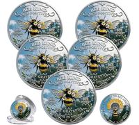 5Pcs Bee Kind Positivity Commemorative Coin, Double-Sided Inspirational Bee Token with Kindness & Gratitude Message, Sunflower & Laurel Design, Motivational Encouragement Gift for Women Men