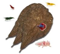 5pcs Catappa Indian Almond Leaves Dried Ketapang Leaf Shrimp Betta Fish Axolotl Aquarium Care Lower pH for Aquarium Fish Tank Create Blackwater Environment Boost Immunity (XXL size 24cm - 30cm)