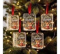 5Pcs Christmas Tree Money Holder Decoration: Bucks From Rudolph | Clear Acrylic Baubles Ornaments, Secret Santa Stocking Fillers & Funny Cash Gag Gift for Teenagers Grandkids