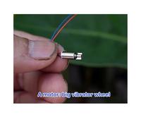 5PCS DC 3.7V Vibration electronic starter 0408 Coreless electronic starter Vibrator Tungsten Steel Vibration Head Large Vibration Force 4 * 8MM RUAJOGYNVM(B vibration Motor)