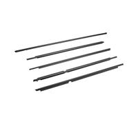 5PCS Door Belt Molding Weatherstrips Compatible for Toyota 4Runner 2003 2004 2005 2006 2007 2008 2009