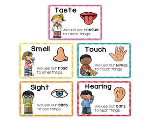 5Pcs Educational Five Senses Posters for Kids Language | Visual Hearing Touch Smell Taste Teaching Posters Tool Classroom Language Development
