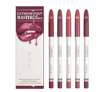 5PCS Extreme Master Lip Pencil Set, Matte Nude Lip Contour Lip Liner with Built-In Blending Brush, Smooth Long-Wear for Defined Lips (#04 CHERRY JUICE)