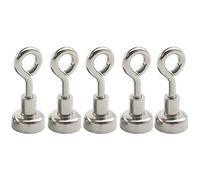 5PCS Fishing Magnets, Strong Neodymium Rare Earth Super Remove Retrieval Magnets For River Magnetic Recovery Salvage Fishing, D-10mm