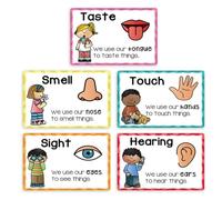 5Pcs Five Senses Learning Posters for Kids Preschool Educational Sensory Cognition Posters for Language and Sensory Development Educational Cards