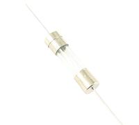 5pcs Glass Tube Fuse 5x20mm 5 * 20mm Quick Fast/Slow Blow Time Delay Axial Links Lead 250V 1A 2A 3A 3.15A 4A 5A 6.3A 8A 10A 15A(3A,Slow Blow-T)