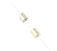 5pcs Glass Tube Fuse 5x20mm 5 * 20mm Quick Fast/Slow Blow Time Delay Axial Links Lead 250V 1A 2A 3A 3.15A 4A 5A 6.3A 8A 10A 15A(3A,Slow Blow-T)