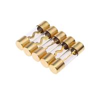 5Pcs Gold Plated Glass AGU Fuse Fuses Pack Car Audio Amp Amplifier 60/80 /100 AMP Protected circuits (Color : 100 Amp)