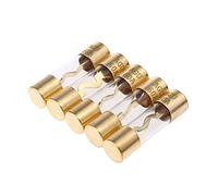 5Pcs Gold Plated Glass AGU Fuse Fuses Pack Car Audio Amp Amplifier 60/80 /100 AMP Protected circuits (Color : 60 Amp)