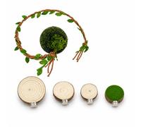 5pcs Jumping Spider Accessories, Jumping Spider Enclosure Kit, Building Natural Habitat Environments, Including Spider Hide and Circular Platforms with Magnets