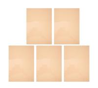 5Pcs Light Filter Sheets, PVC Orange Colour Film for LED Panels | 29.7x21x0.1cm Sheets, Colour Mixing and Tone Adjustment, for Classrooms and Content Creation