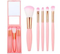 5Pcs Mini Makeup Brushes with Mirror Easy-taken Eye Shadow Brushes Set Pink Travel Makeup Brush Set for Eyeshadow Blush Contour Complete Function Eye Makeup Brush Set