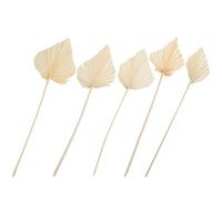 5pcs Natural Palm Leaf Dried Flower Arrangement Ornament