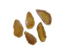 5pcs Natural Raw Stone Sliced Agate Landscape Piece - DIY Colored Wind Chime Pendant, Non-Porous Agate for Crafting(Nohole-Yellow,Within 25mm)
