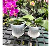 5Pcs Orchid Pots Clear, Plastic Plant Pots With Saucers For Orchids, Transparent Nursery Flower Pots For Indoor Orchid Repotting(19cm)