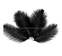 5PCS Ostrich Feathers Plumes Fluffy 10-12 Inches Long - Black