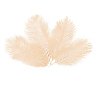 5PCS Ostrich Feathers Plumes Fluffy 12-14 Inches Long - Cream