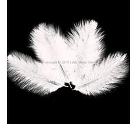 5PCS Ostrich Feathers Plumes Fluffy 12-14 Inches Long - White