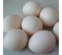 5Pcs/pack Super Plastic Egg (White, Hollow) Magic Tricks Plastic Fake Egg Magic Accessories for Egg Bag Routine Magician Close Up Stage Illusions Gimmicks Mentalism Props