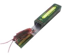 5Pcs Prank Trick Shocking Cockroach Chewing Gum Pull Spoof Funny Jokes Gags and Practical,Chewing and Bubble Gum,Candy and Chocolate