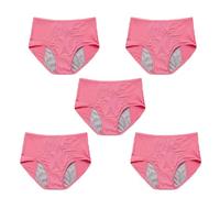 5Pcs Reusable Incontinence Underwear for Women, High Waisted Leak Resistant Briefs for Heavy Flow Full Coverage Protective (Pink,XXXX-Large)