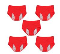 5Pcs Reusable Incontinence Underwear for Women, High Waisted Leak Resistant Briefs for Heavy Flow Full Coverage Protective (Red,X-Large)