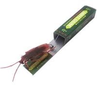 5PCS Roaches Prank Chewing Gum Spoof Cockroach Head Toys Gadget Insert Fake Practical Joke with Package Realistic Shocking Pull Trick Novelty Adult Funny Halloween Fool's Day Party Favors