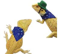 5Pcs Valentine's Day Bearded Dragon, Lizard Valentines St Patricks Hats Bandanas Outfits for Bearded Dragon Lizard Hamster Guinea Pig Small Animal(A)
