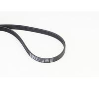 CONTITECH 5PK1441 Serpentine belt