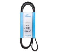 2x ✅Fits CONTITECH 5 PK 1697 V-ribbed Belt 5 PK 1697 Multi-V-belt (5 ⭐UK Seller⭐