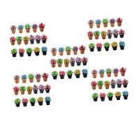 5sets Miniature Simulation Succulents Tiny Potted Plants for Dollhouse Accessories Realistic Decor for Mini Garden Landscape for Mini House Decoration 16pcs*5