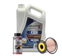 5w30 Fully Synthetic Engine Oil API SL 5L + Oil Filter + Oil Additive