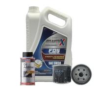 5w30 Fully Synthetic Engine Oil API SL 5L + Oil Filter + Oil Additive