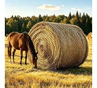5x5 ft Round Bale Hay Net, Slow Feeder for Horses & Livestock | Knotless Feeder, Round Bales Horses, 1.5in hole feeder nets for horses, goats, and cattle to reduce hay waste