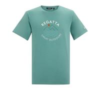 Regatta Mens Cline IX Wavy Lines T-Shirt - Arctic Green - 5XL - Arctic Green - 95% Cotton/5% Viscose