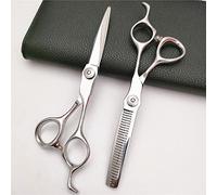 6.0 Inch Japan 440c Professional Hair Scissors Set - Upscale Silver Haircutting and Thinning Shears