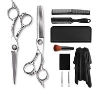 6.0 Inch Professional Hair Cutting Scissors Set - Silver Barber Scissors, Flat, Thinning, Bang Scissors, Complete Hairdressing Kit