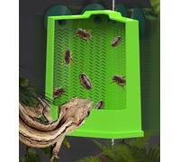 6.1" Cockroach Climbing Feeder Anti-Escape Design Suction Cups for Lizards Chameleons Bearded Dragon Feeder Lizard Corner Terrarium Bowl Cups Gecko Frog