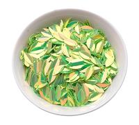 6 * 15mm Leaf Shape PVC Bulk Sequined Nail Glitter DIY Garment Sewing Supplies Footwear Party Decoration(Green)
