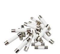 6 * 30mm Fuses 250V 0.1A 0.2A 0.3A 0.4A 0.5A 0.63A 0.75A 0.8A 1A AMP Fuse Ceramic Fuse 20Pcs(4A)