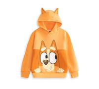 Bluey Bingo Kids Orange Hoodie | Long Sleeve Pullover with Cartoon Character Print | Unisex Children's Hooded Jumper | School Loungewear Top Merch - 6-7 Years